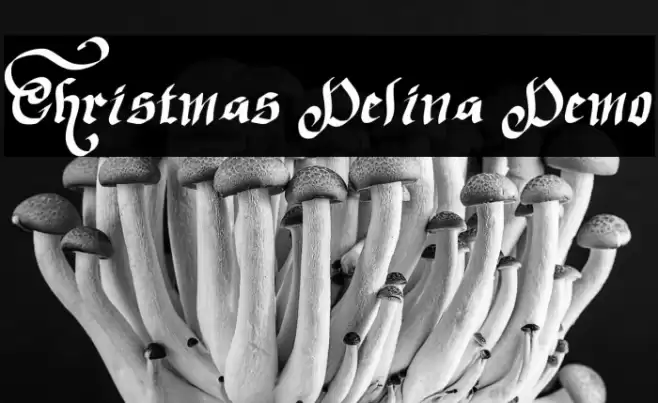 Christmas Delina Demo Font examples