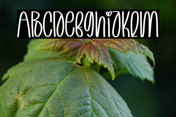 Christmas Designer Example 2