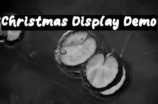 Christmas Display Demo フォント examples