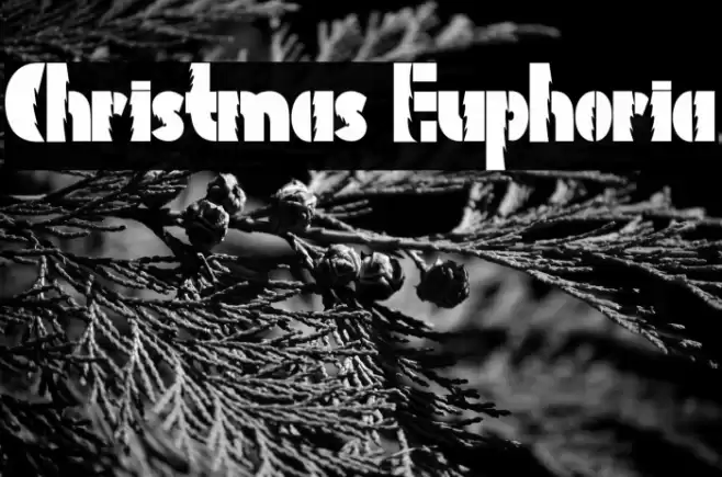 Christmas Euphoria Font examples