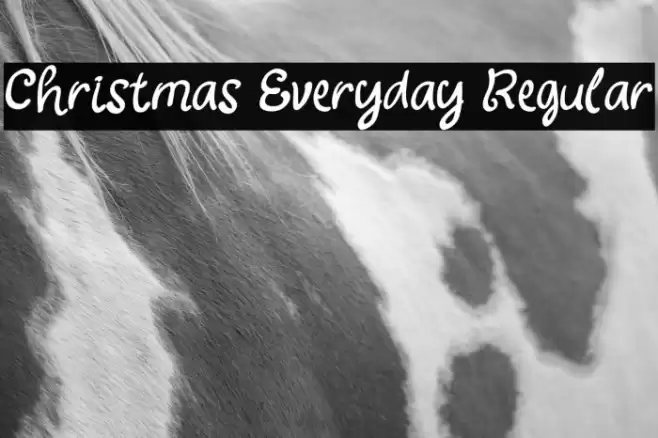 Christmas Everyday Regular Font examples