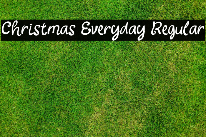 Christmas Everyday Regular Example 2