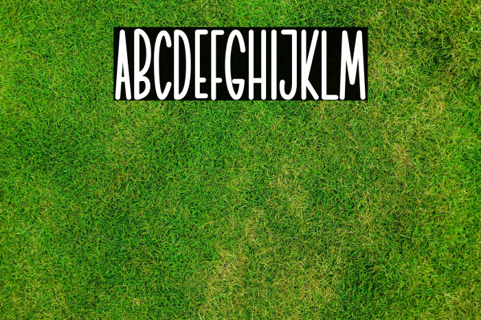 Christmas Gift Example 1