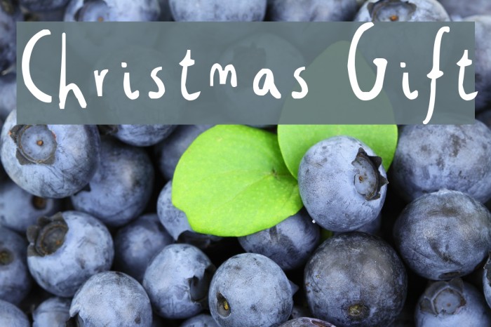 Christmas Gift Font examples