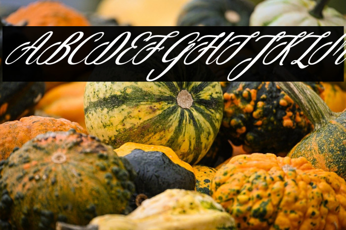 Christmas Glooves Italic Example 1