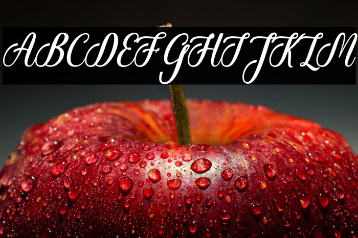 Christmas Glooves Example 1