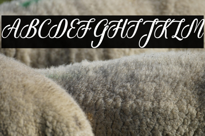 Christmas Glooves Example 3