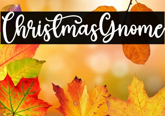 Christmas Gnome Example 1