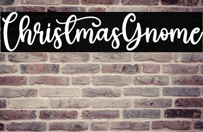 Christmas Gnome Example 3