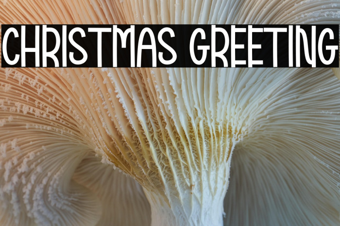 Christmas Greeting Example 2