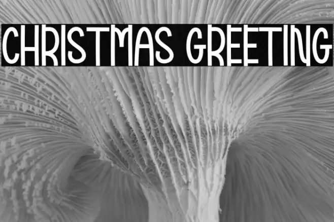 Christmas Greeting Font examples