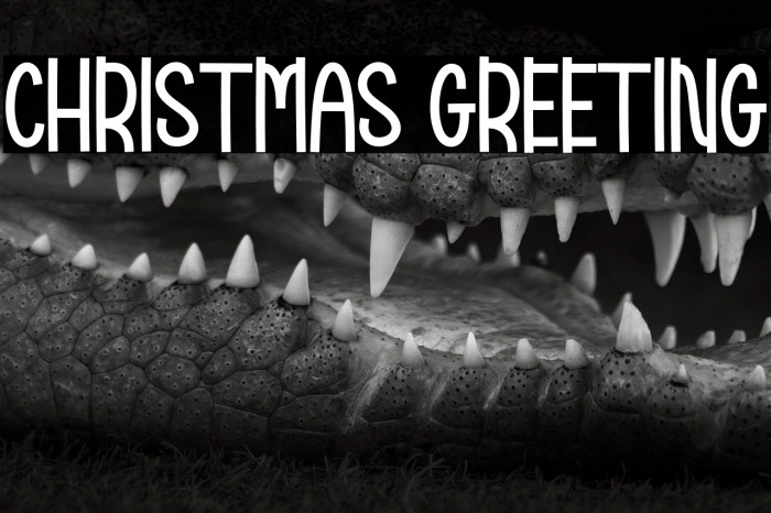 Christmas Greeting Example 3