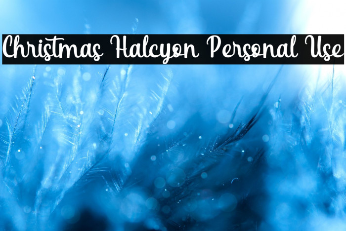 Christmas Halcyon Personal Use Example 1