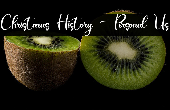 Christmas History - Personal Us Example 3