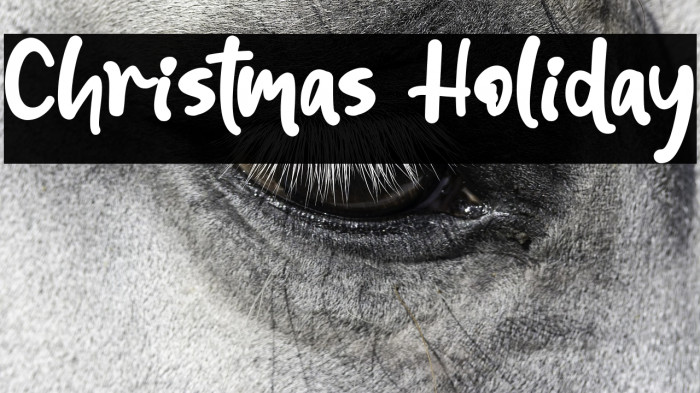 Christmas Holiday Example 1