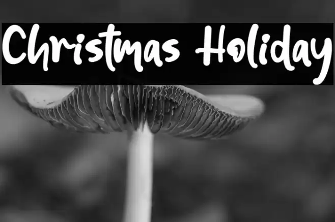 Christmas Holiday Font examples