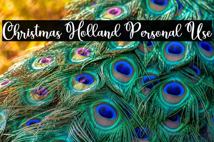 Christmas Holland Personal Use Example 1