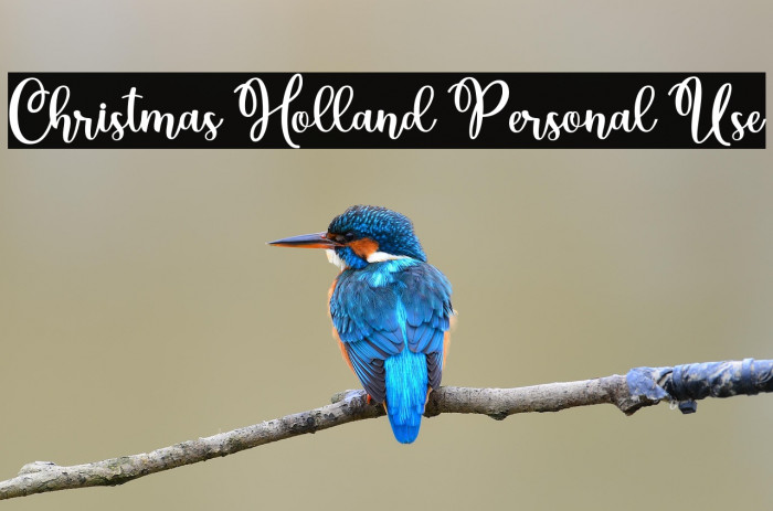 Christmas Holland Personal Use Example 2