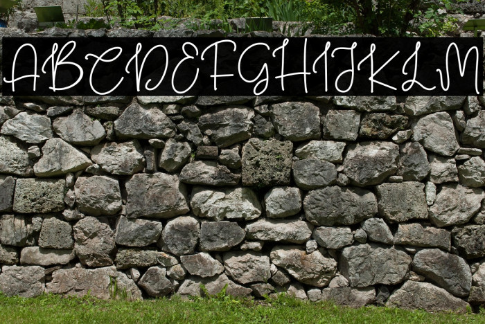 Christmas Honey Regular Example 1