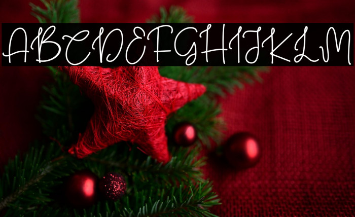 Christmas Honey Regular Example 3