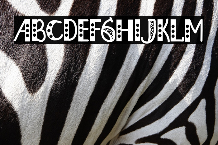 Christmas Honeymoon Example 1