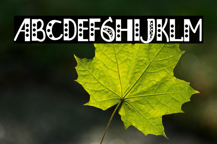 Christmas Honeymoon Example 3