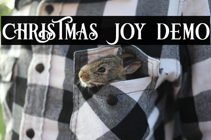 Christmas Joy Demo Example 1