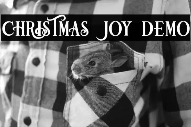 Christmas Joy Demo 字体 examples