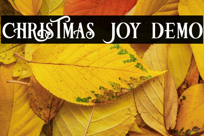 Christmas Joy Demo Example 2