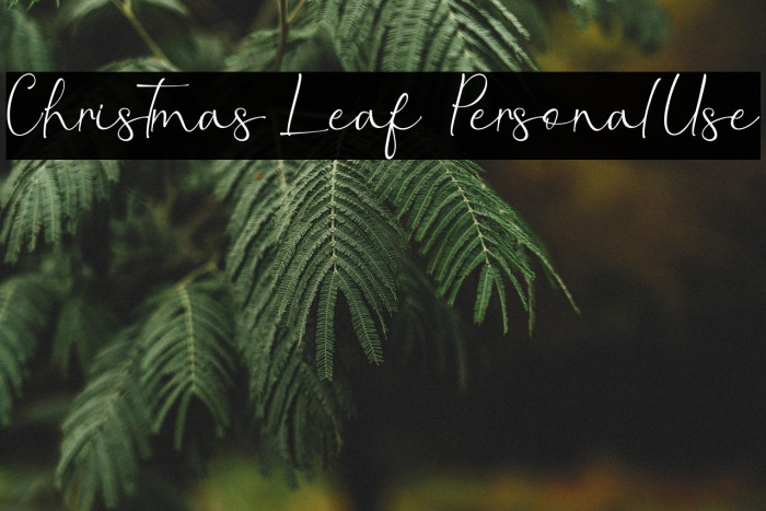 Christmas Leaf - Personal Use Example 1
