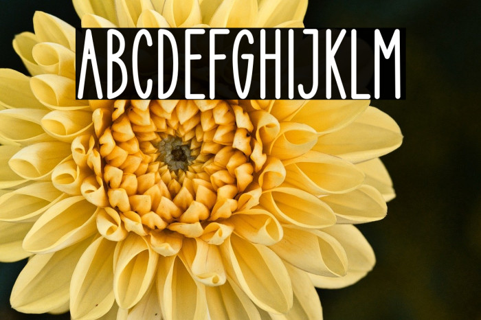 Christmas Light Example 2