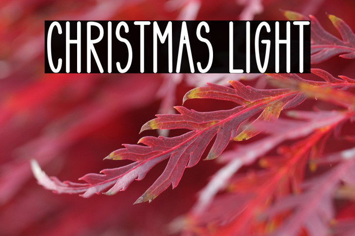 Christmas Light Example 2