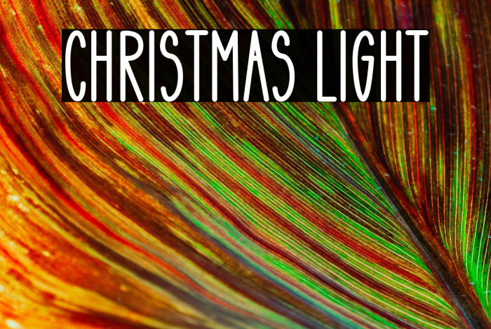 Christmas Light Example 3