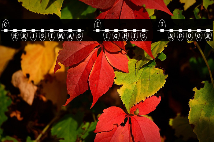 Christmas Lights Indoor Example 3