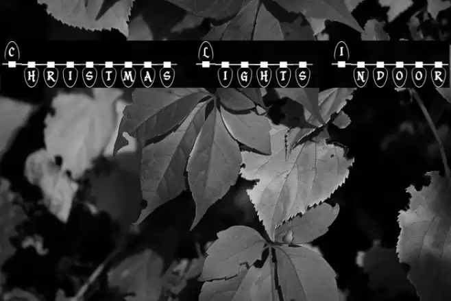 Christmas Lights Indoor Font examples