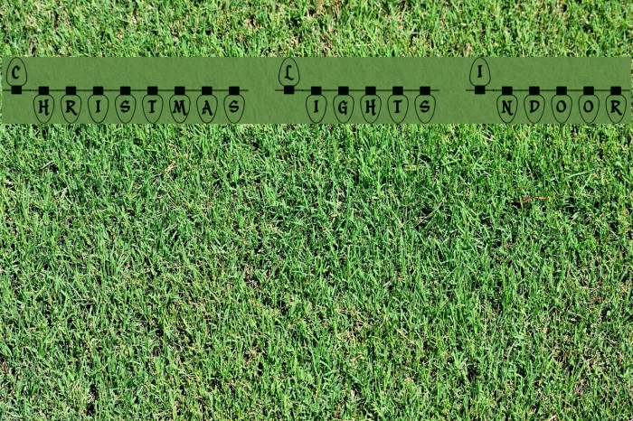 Christmas Lights Indoor Example 3