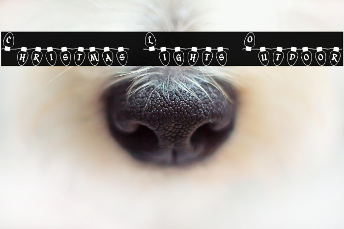 Christmas Lights Outdoor Example 1