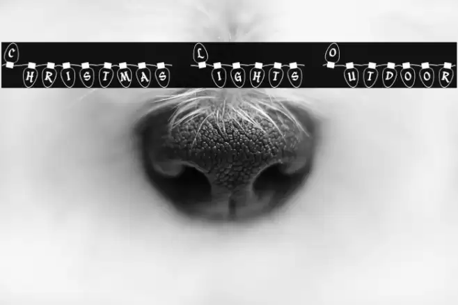 Christmas Lights Outdoor Font examples