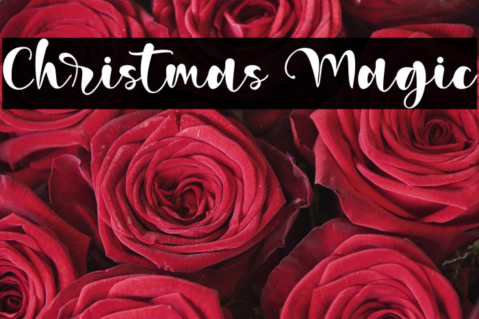 Christmas Magic Example 2