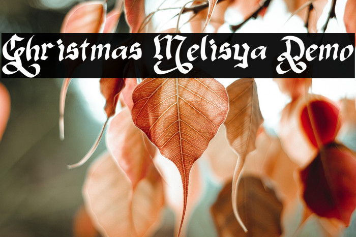 Christmas Melisya Demo फ़ॉन्ट examples