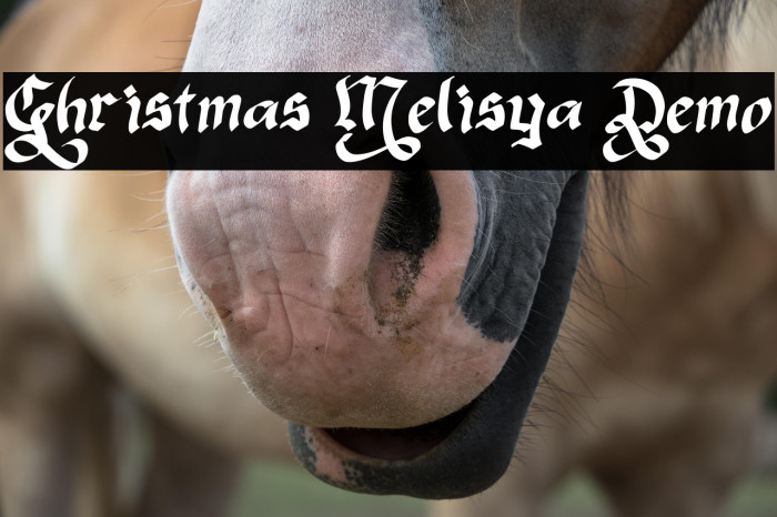 Christmas Melisya Demo फ़ॉन्ट examples