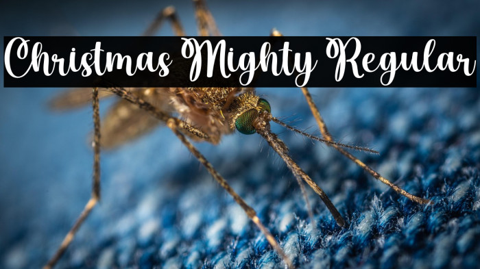 Christmas Mighty Regular Fonte examples