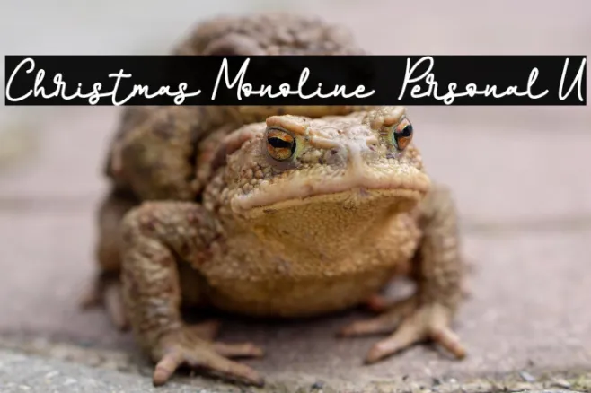 Christmas Monoline - Personal U Example 3