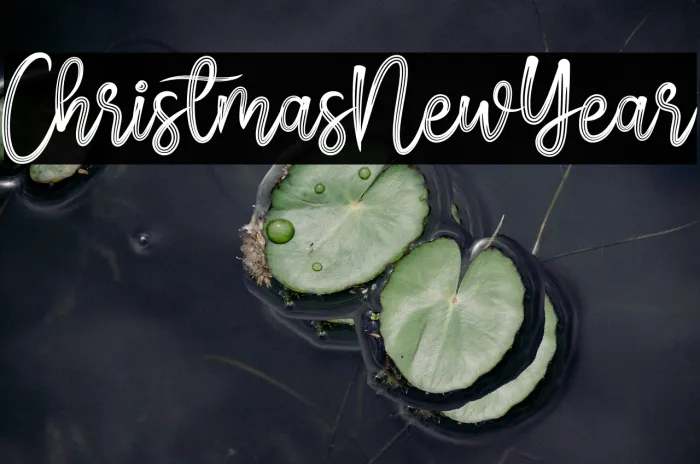 Christmas New Year Example 3