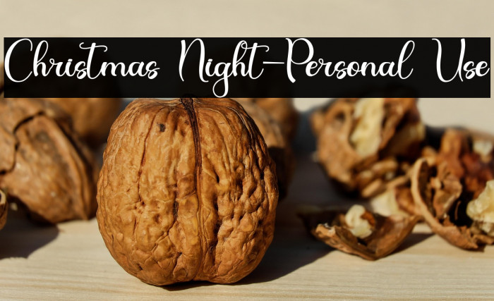 Christmas Night-Personal Use Example 2