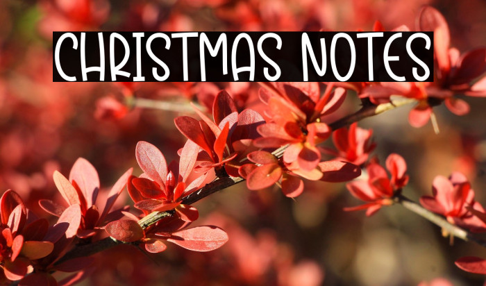 Christmas Notes Example 3