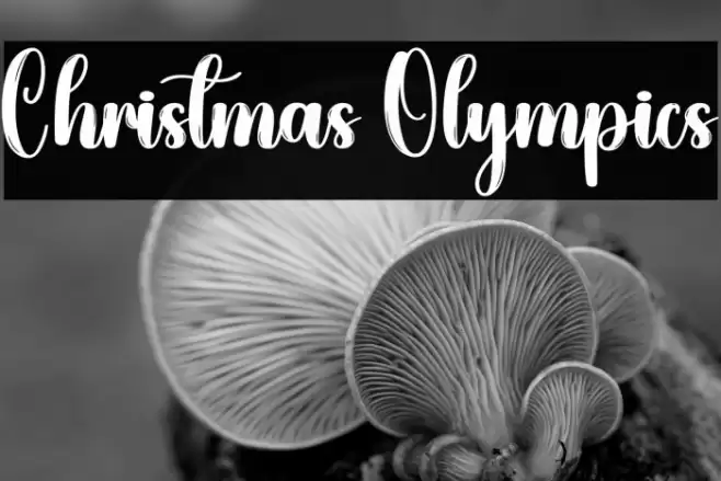 Christmas Olympics Polices examples