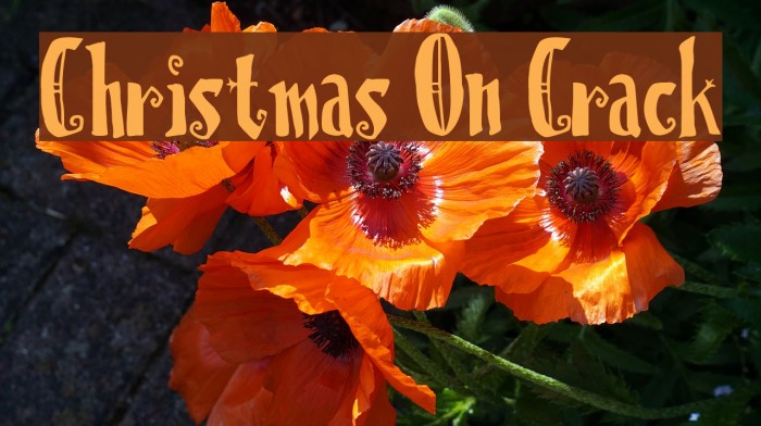 Christmas On Crack Fonte examples
