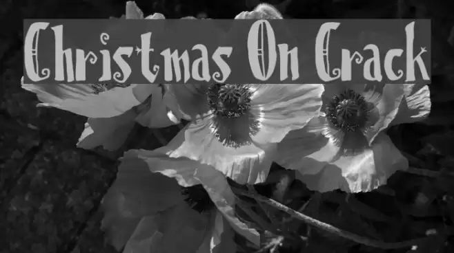 Christmas On Crack Fuentes examples