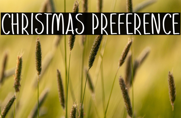 Christmas Preference Example 1